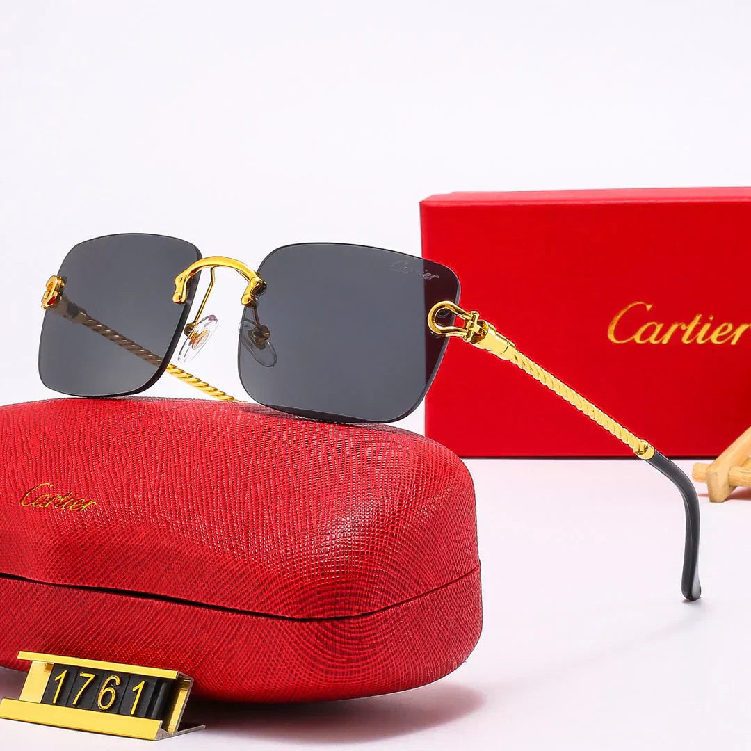 Faisean Cool SUNGLASSES 1761